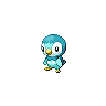 piplup