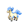 ponyta