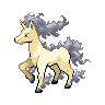 rapidash