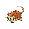 raticate