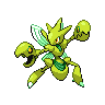 scizor f