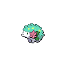 shaymin