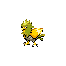 spearow
