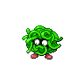 tangela