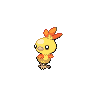 torchic
