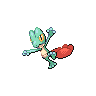 treecko