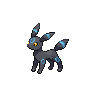 umbreon