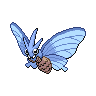 venomoth