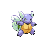 wartortle