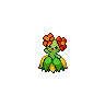 bellossom