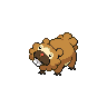 bidoof