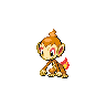 chimchar