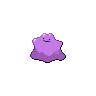 ditto