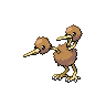 doduo f