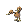 doduo