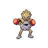 hitmonchan