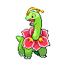 meganium f