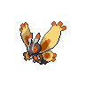 mothim