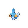 mudkip