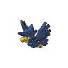 murkrow f