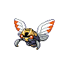 ninjask