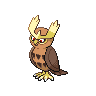 noctowl