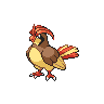pidgeotto