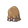 piloswine f