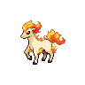 ponyta