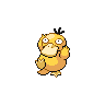 psyduck