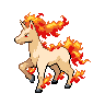 rapidash