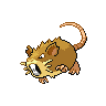 raticate f