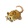 raticate