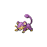 rattata