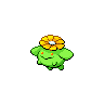 skiploom