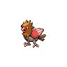 spearow