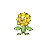 sunflora