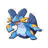 swampert