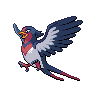 swellow