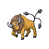 tauros