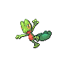 treecko