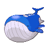 wailord