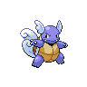 wartortle