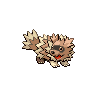 zigzagoon
