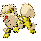 arcanine