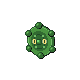 bronzor