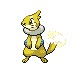 buizel