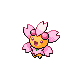 cherrim sunshine