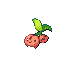 cherubi