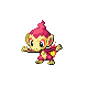 chimchar